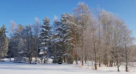 Talvi järvellä