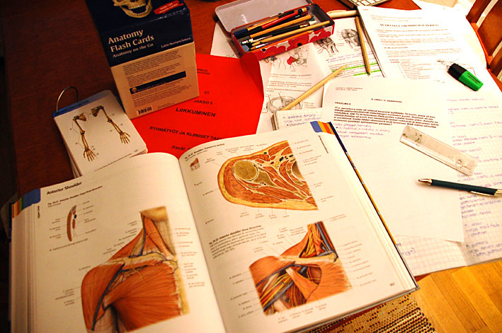 Anatomia