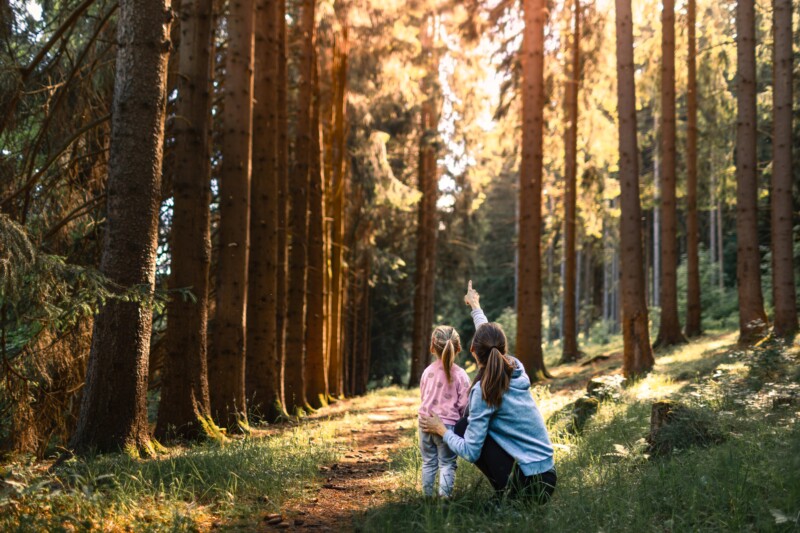 Äiti ja lapsi ihastelevat puiden välistä siivilöityvää valoa metsässä